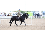 SBM_17487
