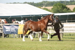 SBM_10297