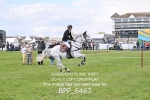 BPP_6463