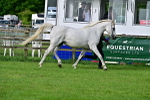 SBM_00052