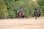 WJ6_7457