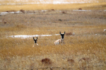 8206_Laramie County