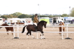 SBM_18209