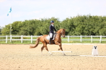 SBM_002776