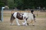 WJ6_7857