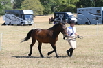 WJ6_8563