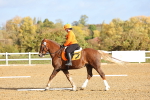 SBM_000742