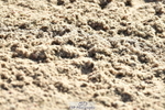 230527A-091723-02938