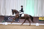 SBM_008997
