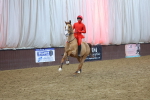 SBM_004239