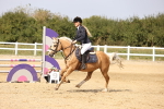 SBM_002954