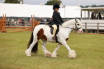 SBM_06229