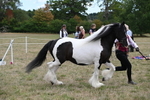 WJ6_5396