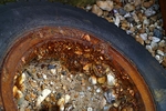 Pagham & Selsey - 32