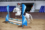 SBM_001157