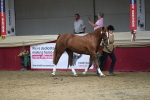 SBM_06540