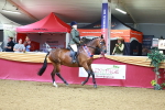 SBM_06364