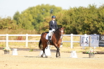 SBM_016519