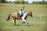 BVHT 140517  IXC -694