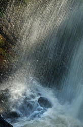 Freshwater 1 portfolio