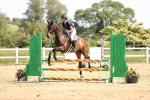 SBM_003983