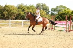 SBM_002677