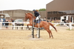 SBM_008042