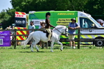 SBM_07760