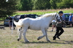 WJ6_4919