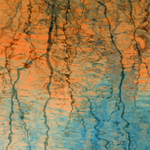Ripples