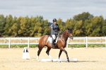 SBM_004464