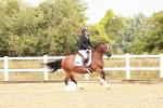 SBM_002747