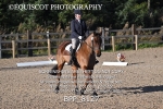 BPP_8127