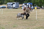WJ6_5399