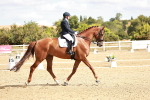 SBM_009397