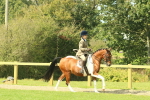 SBM_67450