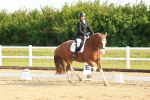 SBM_006921