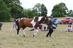 WJ6_6068