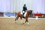 SBM_004862