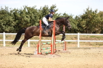 SBM_000384