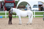 SBM_05959