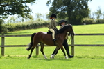 SBM_42523