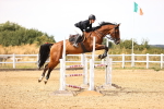 SBM_001184