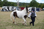 WJ6_5326