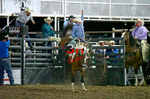 3HRodeo8-5-24_CFD_3HR-YUMA- 3397_