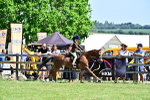 SBM_13944