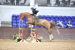 SBM_001764