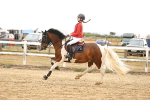 SBM_008195