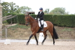 Unaffiliated Dressage portfolio