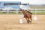 SBM_004304